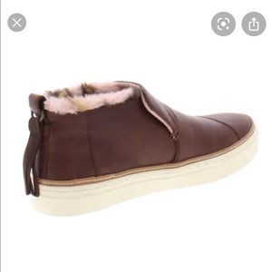 TOMS “Paxton” slip on bootie